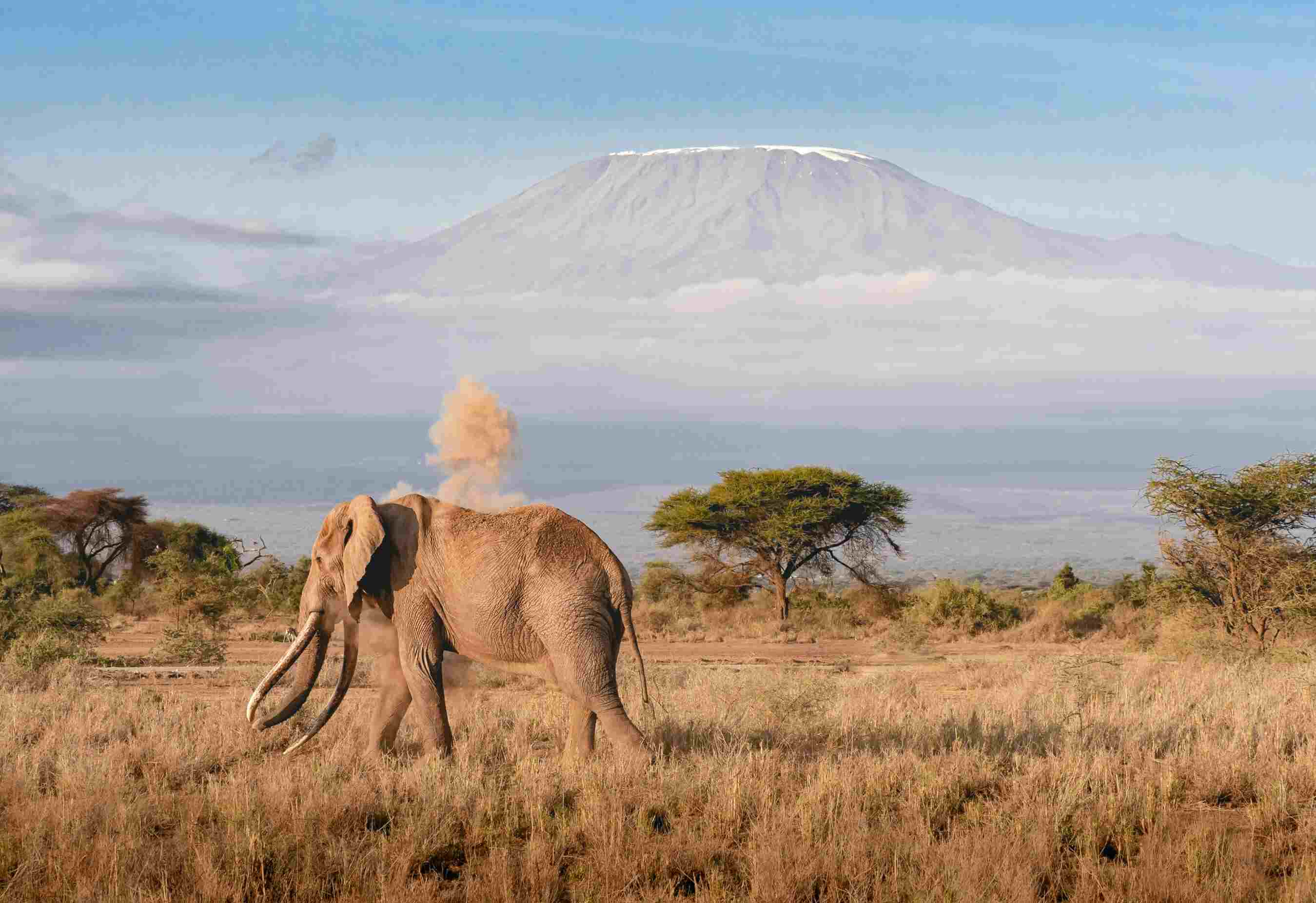 Mount Kilimanjaro