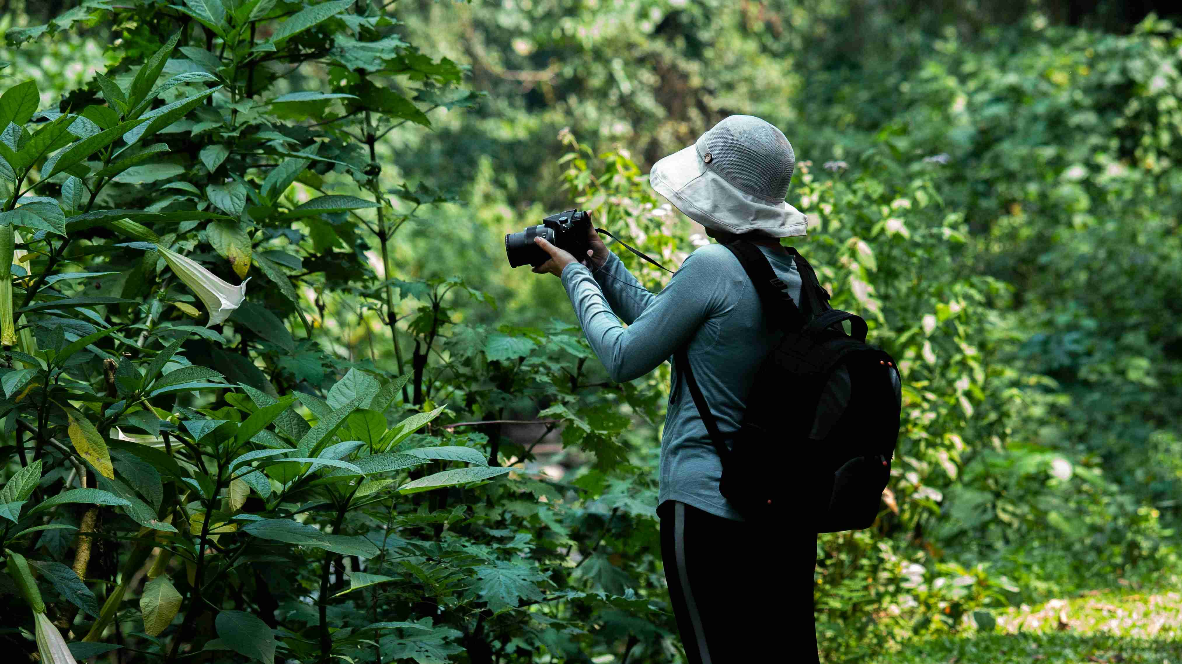 Trekking in Bwindi Impenetrable Forest