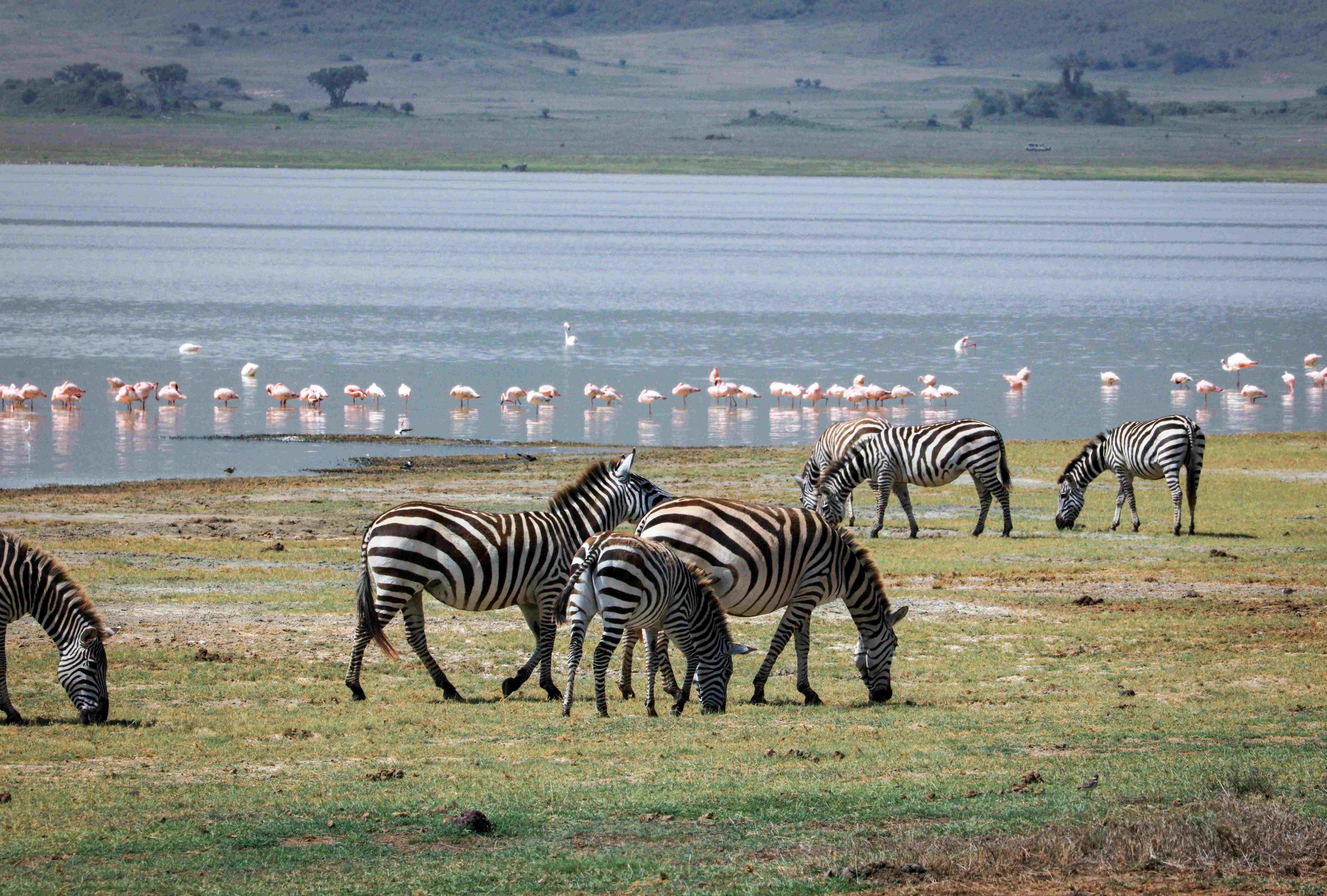 Lake Manyara National Park