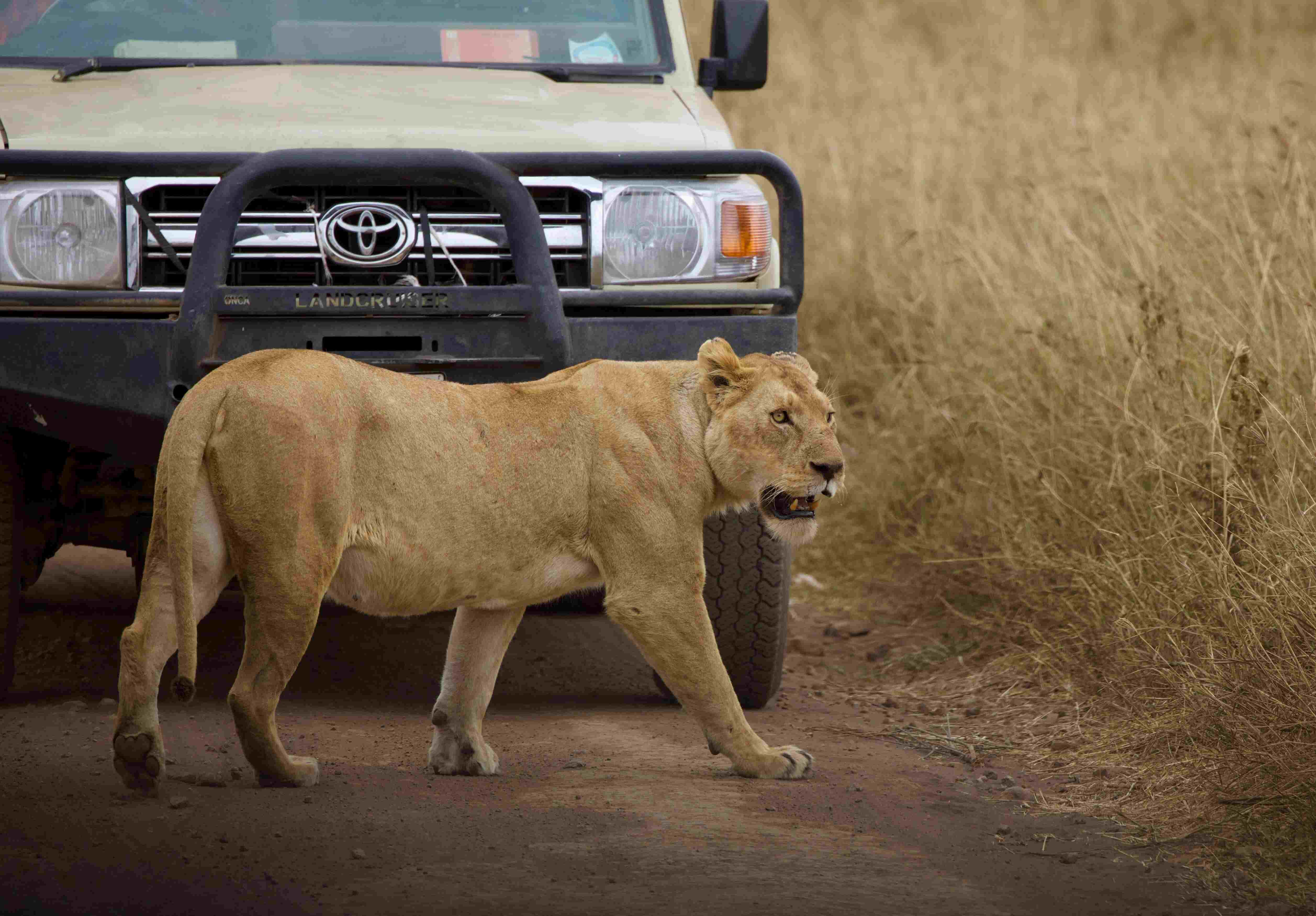 Serengeti National Park